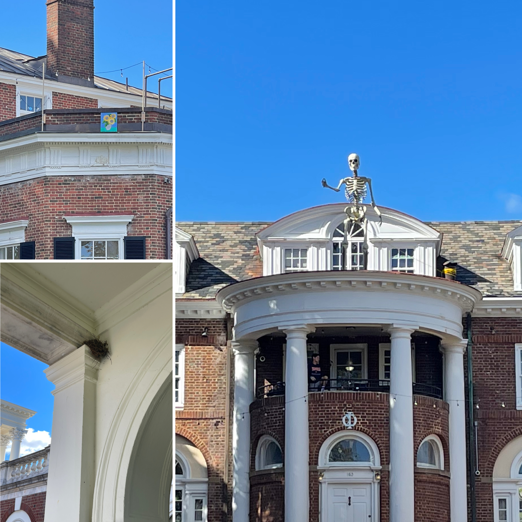 photo collage with painting perched at a roofline, skeleton on a roof, and a bird's nest in a corner near an arch in the Rotunda walkway