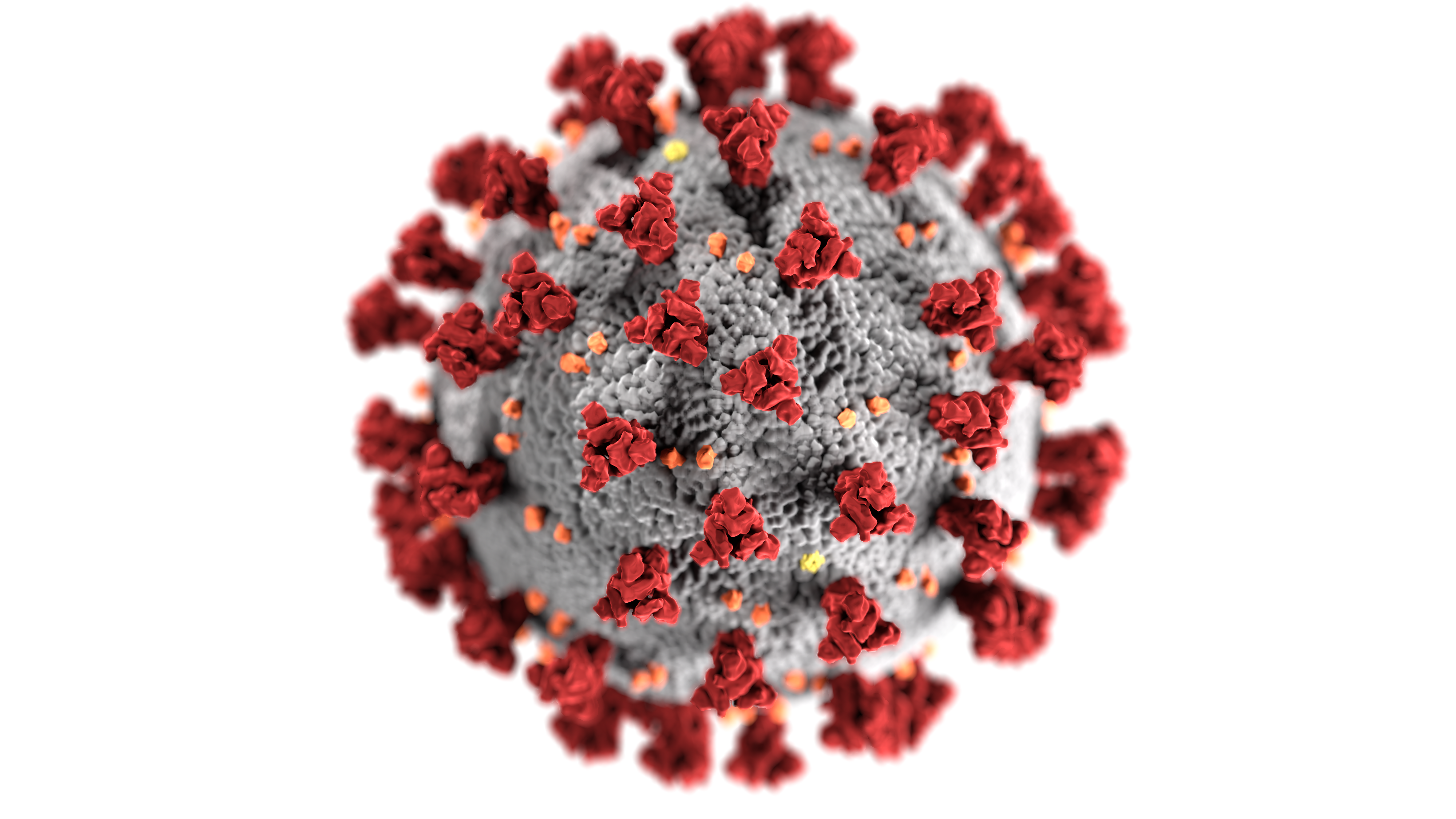 COVID-19 virus